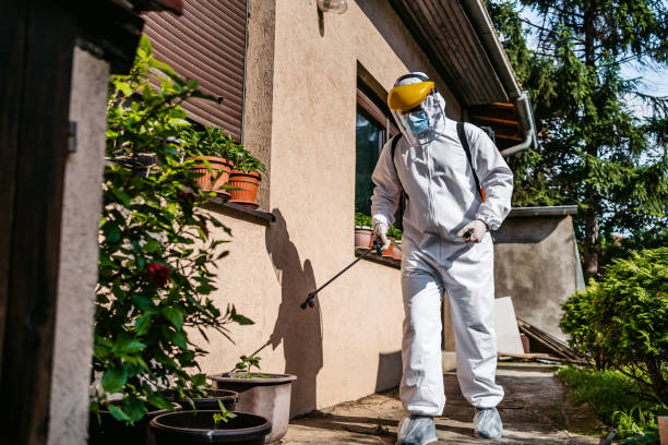 Best Spider Control Near Me  in Mcadenville, NC