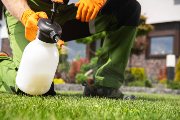 Best Pest Prevention Services  in Mcadenville, NC