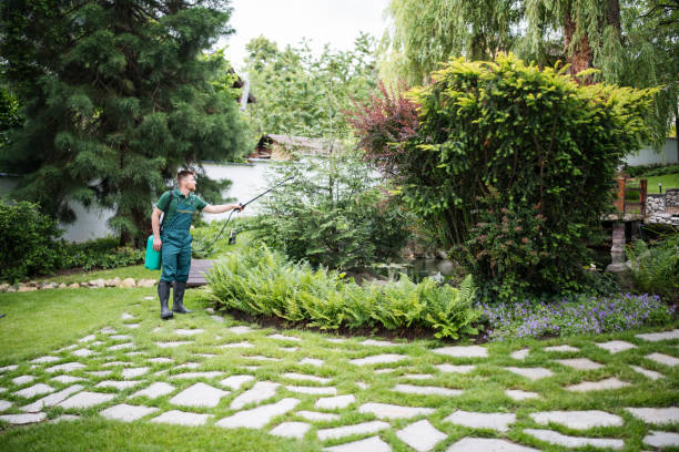Best Residential Pest Control  in Mcadenville, NC