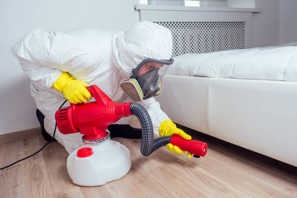 Best Flea Control Services  in Mcadenville, NC