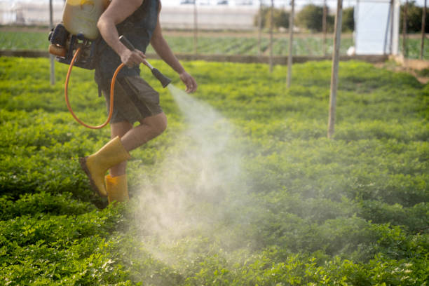 Professional Pest Control in Mcadenville, NC