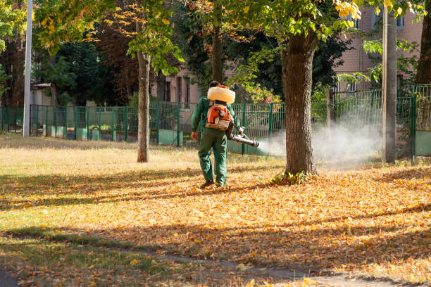 Best Rat Extermination Near Me  in Mcadenville, NC