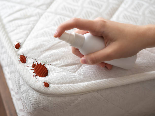 Best Pest Inspection Near Me  in Mcadenville, NC